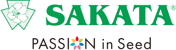Sakata - logo