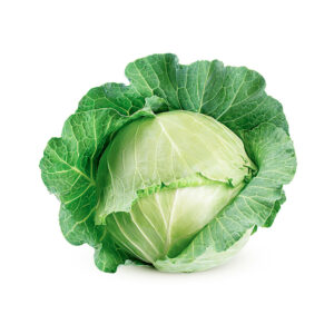 Cavolo cappuccio bianco