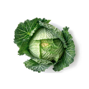 Cavolo Verza