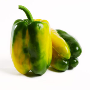 ORTIGIA F1 (ex PL20073)