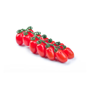 Pomodoro indeterminato da mercato fresco