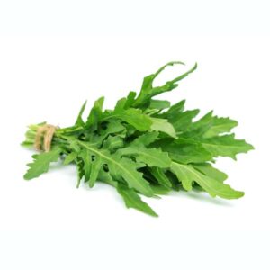 Rucola selvatica