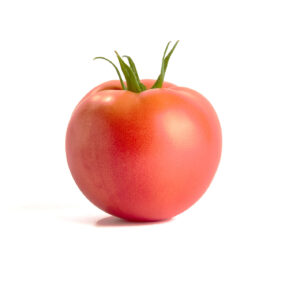 Roisette F1* (Tl 18304)