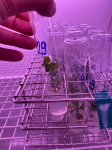 PHOTO-2026-04-16-08-06-57