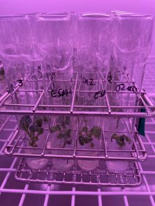 PHOTO-2026-04-16-08-06-58