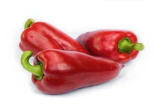 Lancia (Pla41351)* F1